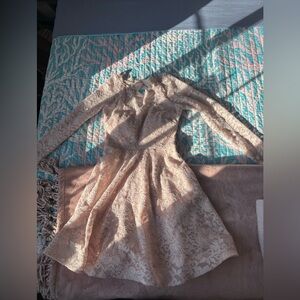 Lace Long Sleeve Fit-and-Flare Dress in Blush